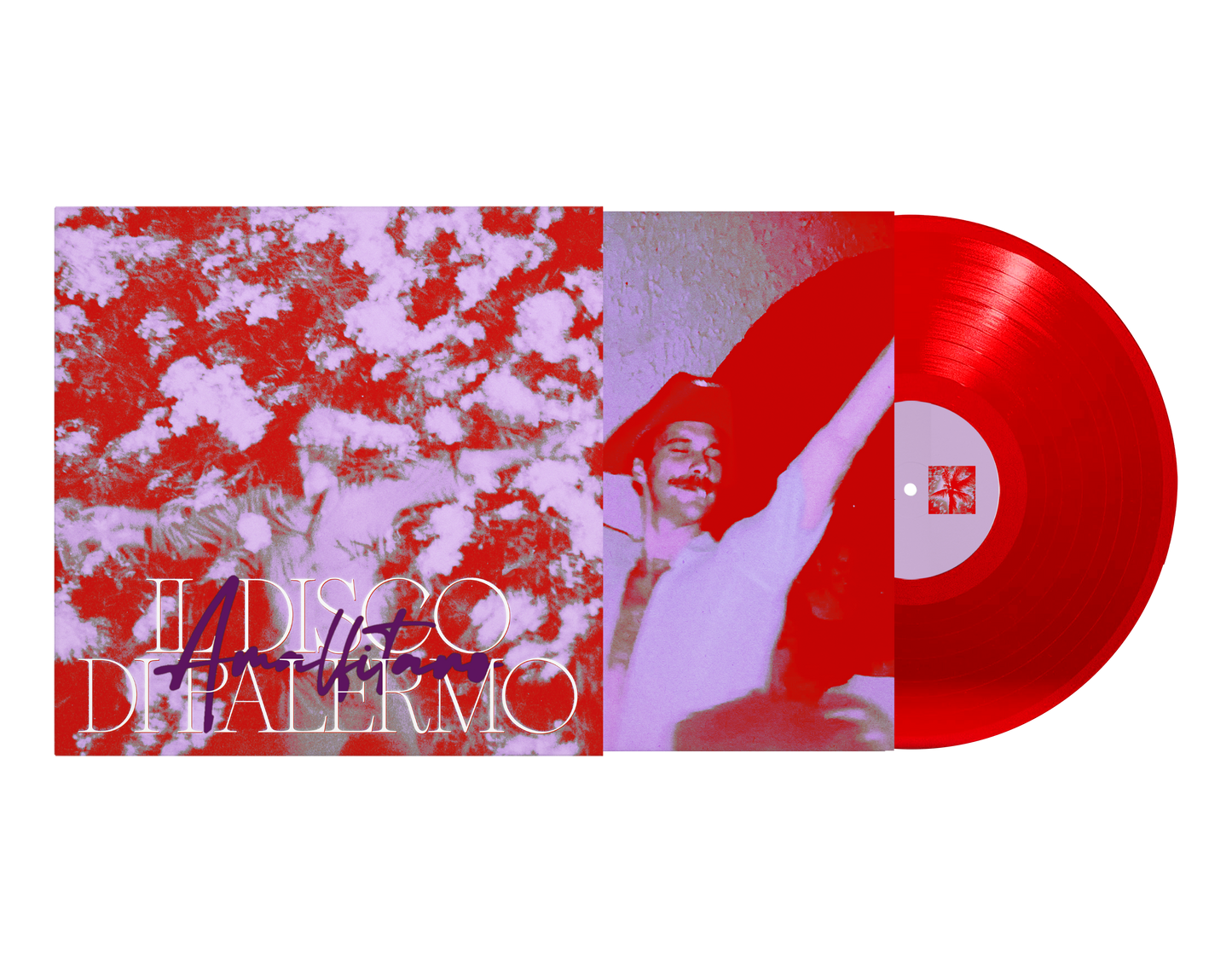Amalfitano - Il Disco di Palermo - Vinile